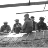 Hommelink geschiedenis